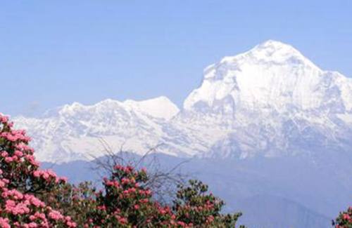 Dhaulagiri Region